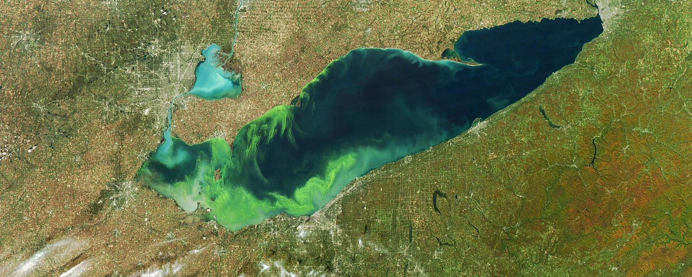 Satellite view of a bright green algal bloom spreading across western Lake Erie